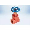 American Valve 1-1/2 In. Lead-Free Brass Full Pattern Gate Valve - FIP Threaded Ends - Pkg Qty 2