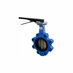Bi-Torq 2" Lug Style Butterfly Valve W/ EPDM Seals and 10 Position Handle