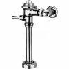 Delany F402-1.28 Exposed Flushboy Flush Valve For Toilets W/11-1/2" Rough In, 1.28 GPF -Valves Online Shop CDY F402 1 28