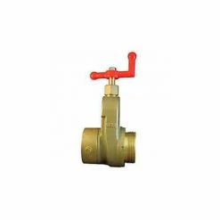 Moon American, Hose Gate Valve, 734-2521, 2-1/2", NH, Brass