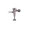 Sloan Regal XL Manual Urinal Flushometer Valve 1GPF