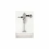TOTO® TMU1NNC Exposed 1.0 GPF Urinal Flush Valve -Valves Online Shop TTO TMU1NNC