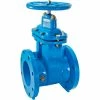 Watts 405-NRS-RW Cast Iron Gate Valve‚ 3 in FLG‚ 0700104 -Valves Online Shop WTT 0700104
