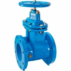 Watts 405-NRS-RW Cast Iron Gate Valve‚ 3 in FLG‚ 0700104